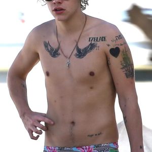 Harry Styles onlyfans shirtless