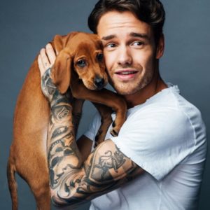 Liam Payne muscles sexy