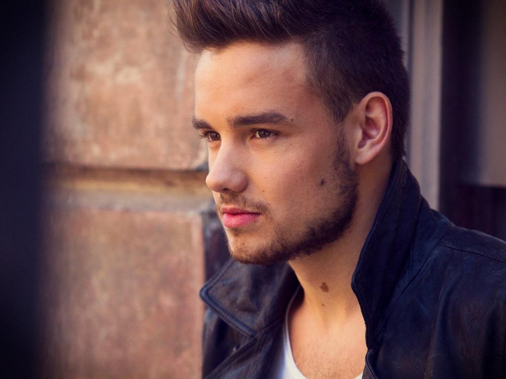 Liam Payne Hot Dick Pics ( 54 Pics ) Male Celebs